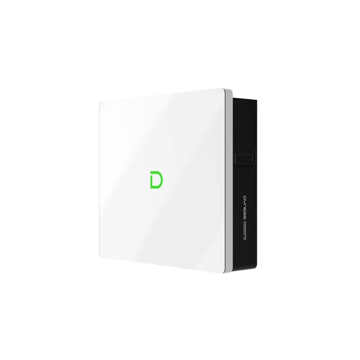 Dyness PowerBox G2 10,24 kWh IP65 žemos įtampos LiFePO4 baterija su šildymu
