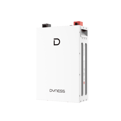 Dyness DL5.0F 5,12 kWh žemos įtampos LiFePO4 baterija Dyness DL5.0F 5,12 kWh žemos įtampos LiFePO4 baterija