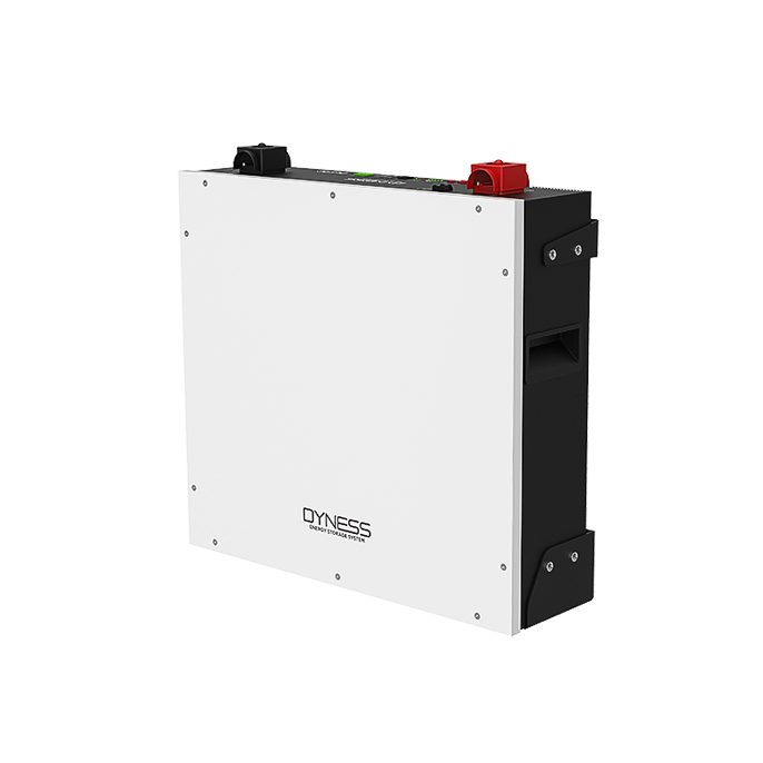 Dyness DL5.0C-1C 5,12 kWh žemos įtampos LiFePO4 baterija su šildymu Dyness DL5.0C-1C 5,12 kWh žemos įtampos LiFePO4 baterija su šildymu